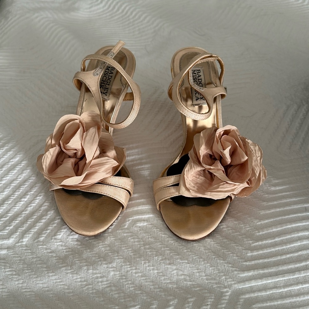 Badgley Mischka wedge formal shoes
